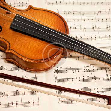 Violino